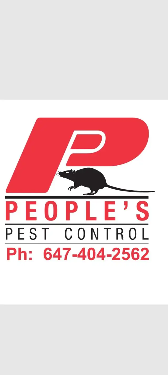 ALL KIND PEST CALL 647 404 2562 PEOPLES PEST AND ANIMAL CONTROL