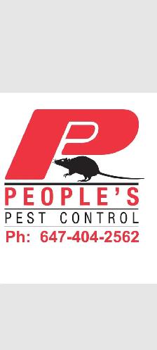 ALL KIND PEST CALL 647 404 2562 PEOPLES PEST AND ANIMAL CONTROL