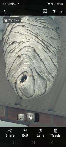 ALL KIND PEST CALL 647 404 2562 PEOPLES PEST AND ANIMAL CONTROL - Photo 2