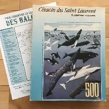 PIÈCES MANQUANTES - Casse-têtes /Puzzles (10 CT) –200@500 pièces - Photo 9