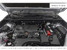 2024 Toyota RAV4 - Photo 6