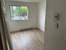 Mtl Nord grand 4 1/2 tout rénové spécial du proprio 1 mois gratu - Photo 3