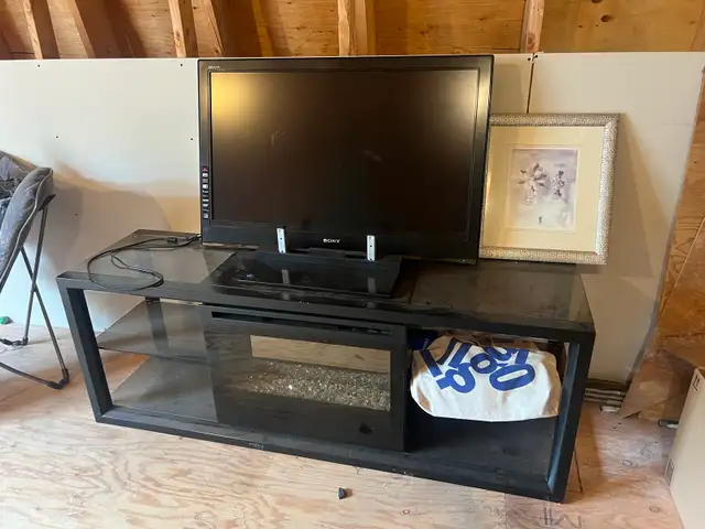 Sony Bravia TV and Electric Fireplace Stand