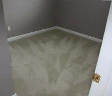 3 bedroom main floor apartment for rent in Aurora - Photo 10