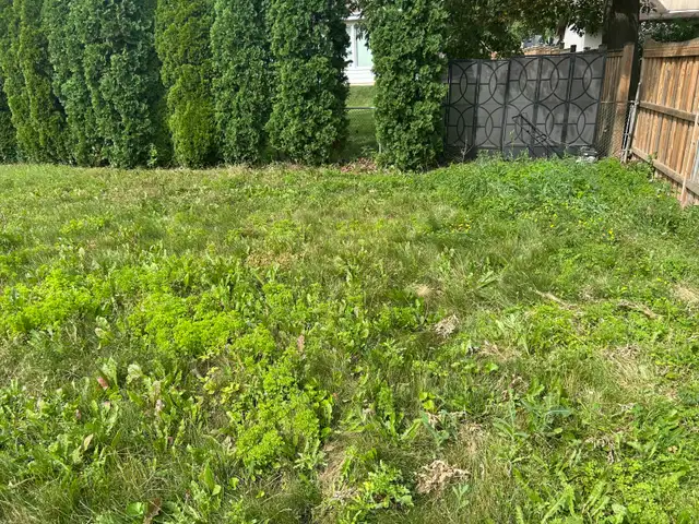 Lawn Mowing & Weed Trimming – Fast, Clean & Affordable!