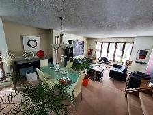 Room for Rent - Close to the U of M ! - Photo 8