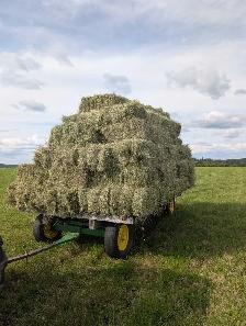 hay for sale