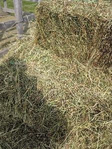 hay for sale - Photo 2