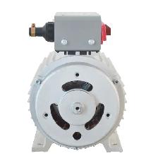 Brushless Rare Earth Permanent Magnet Generator 380V 8KW 056047 - Photo 3