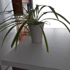8PLANTES MAISON VERTES BLANCHES UNE À FLEURS MAUVES: $10.00CHAQU - Photo 7