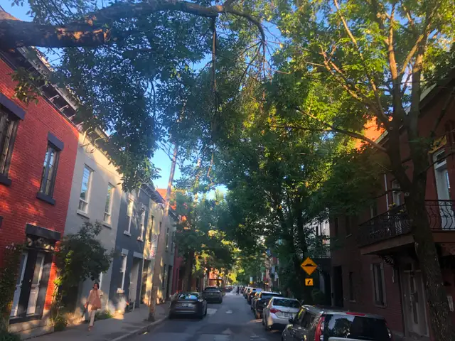 Magnifique 4 ½ avec grande terrasse dans Le Plateau