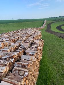 Dry Birch Firewood/ Free Delivery