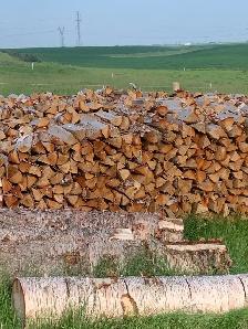 Dry Birch Firewood/ Free Delivery - Photo 2