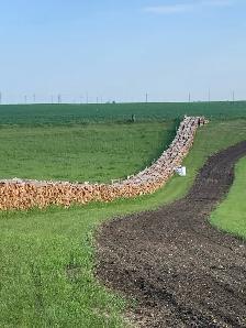 Dry Birch FIREWOOD/ Free Delivery - Photo 2