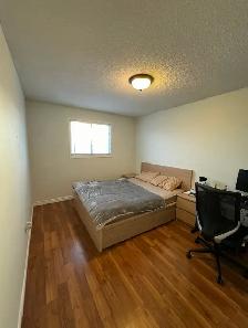 Private Bedroom Available for Rent