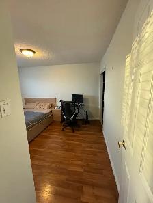 Private Bedroom Available for Rent - Photo 3