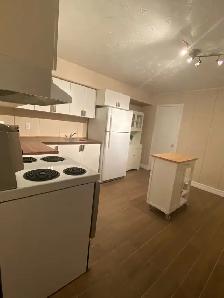 1 BDRM BSMT APT IN BATHURST MANOR - Photo 2