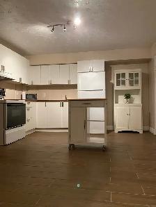 1 BDRM BSMT APT IN BATHURST MANOR - Photo 4