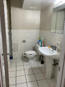 1 BDRM BSMT APT IN BATHURST MANOR - Photo 5