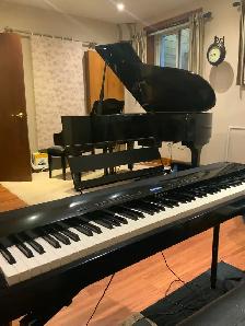 Experienced Piano Teacher - Photo 2