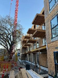 Framers Wanted