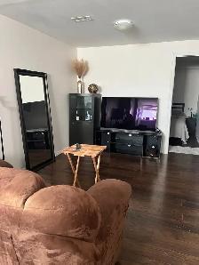 Furnished Basement unit  for rent