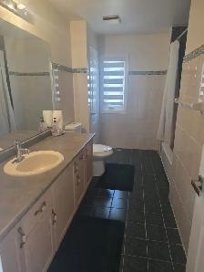 $750 - One Bedroom for Rent – Bovaird & Mountainash (Brampton) - Photo 3