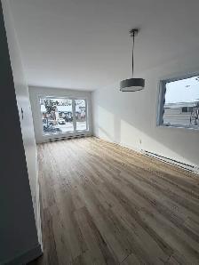 4 1/2 à louer - 2 bedrooms to rent - Photo 7
