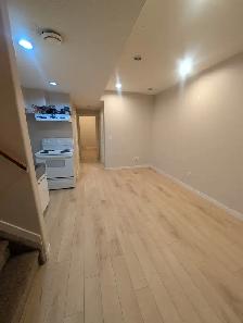 2 Bedroom Basement Suite with Tall Ceilings and Walk-In Closet - Photo 2