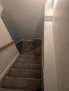 2 Bedroom Basement Suite with Tall Ceilings and Walk-In Closet - Photo 3