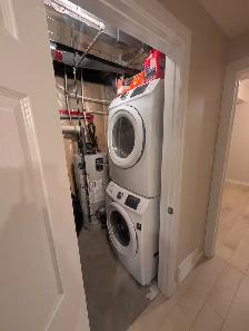 2 Bedroom Basement Suite with Tall Ceilings and Walk-In Closet - Photo 4