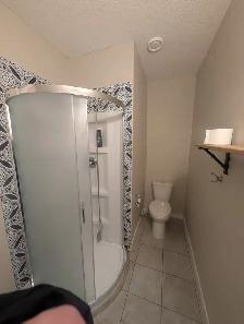 2 Bedroom Basement Suite with Tall Ceilings and Walk-In Closet - Photo 9