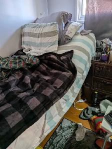 twin xl adjustable bed