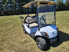Yamaha AC2 Golfcart - Photo 4