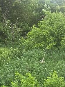 12 LOTS FOR SALE    1.5 ACRES - Photo 7