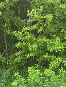 12 LOTS FOR SALE    1.5 ACRES - Photo 10