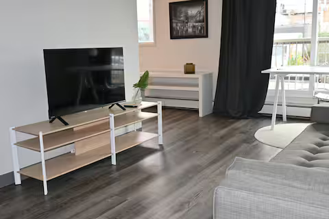 SOUTHSIDE- LARGE UPGRADED FULLY FURNISHED BACHELOR-BALCONY-ADULT