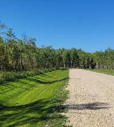 LAKE WINNIPEG BUILDING LOTS - Photo 5