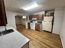 basement for rent available $1595 - Photo 2