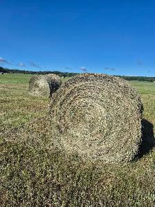 Grass Hay For Sale