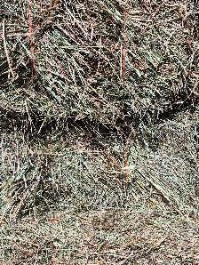 Grass Hay For Sale - Photo 2
