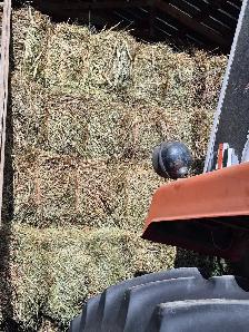Grass Hay For Sale - Photo 3