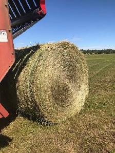 Grass Hay For Sale - Photo 4