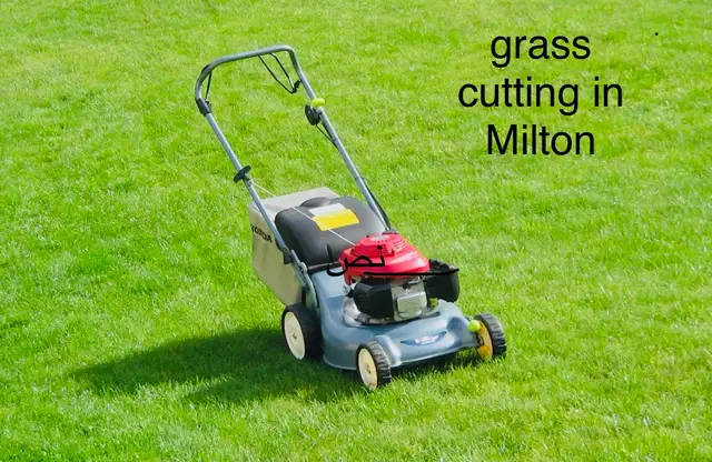 grass cutting