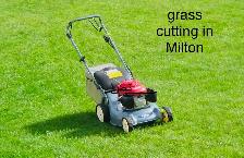 grass cutting