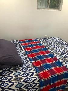 Beautiful and Furnished Basement Room in Scarborough for Rent - Photo 12