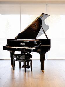 2025 Boston GP163 grand piano - 5'4' piano with lots of power!