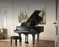 2025 Boston GP163 grand piano - 5'4' piano with lots of power! - Photo 2
