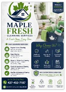 Premium House & Office Cleaning Toronto / GTA: 437-453-7187 - Photo 7