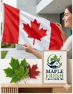 Premium House & Office Cleaning Toronto / GTA: 437-453-7187 - Photo 8